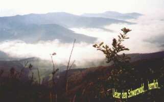 ueber'm Schwarzald...